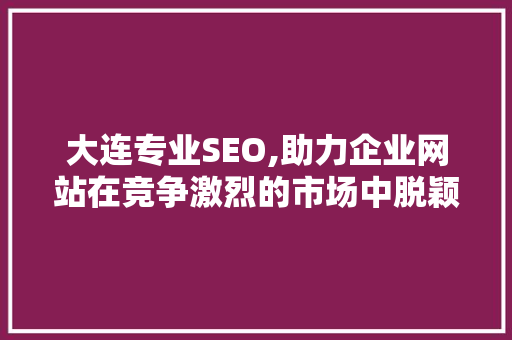 大连专业SEO,助力企业网站在竞争激烈的市场中脱颖而出