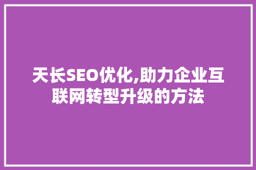 天长SEO优化,助力企业互联网转型升级的方法