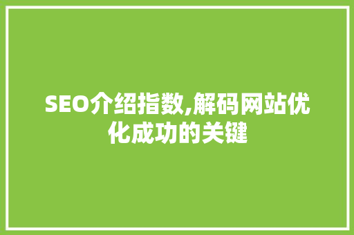 SEO介绍指数,解码网站优化成功的关键