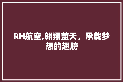 RH航空,翱翔蓝天，承载梦想的翅膀