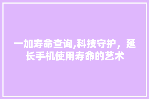 一加寿命查询,科技守护，延长手机使用寿命的艺术