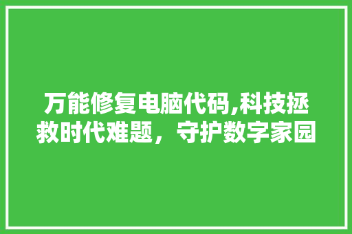 万能修复电脑代码,科技拯救时代难题，守护数字家园