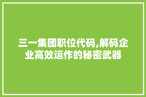 三一集团职位代码,解码企业高效运作的秘密武器