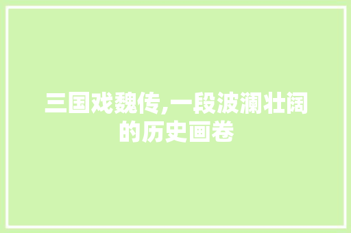 三国戏魏传,一段波澜壮阔的历史画卷
