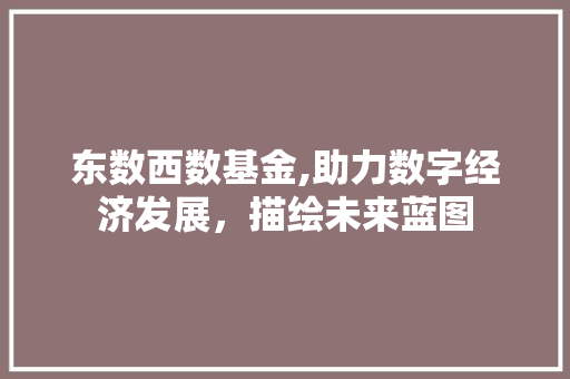 东数西数基金,助力数字经济发展，描绘未来蓝图