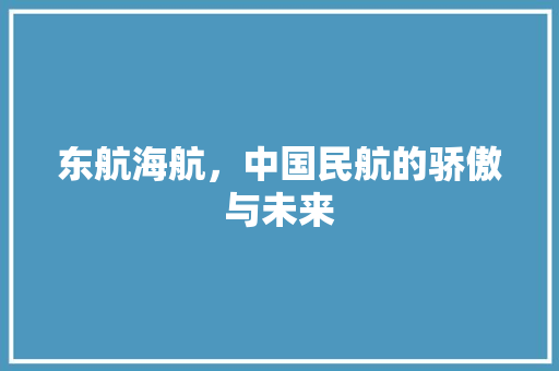 东航海航，中国民航的骄傲与未来