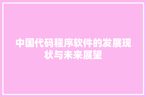 中国代码程序软件的发展现状与未来展望