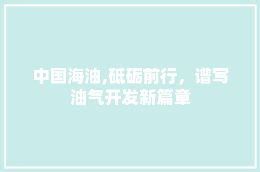 中国海油,砥砺前行，谱写油气开发新篇章