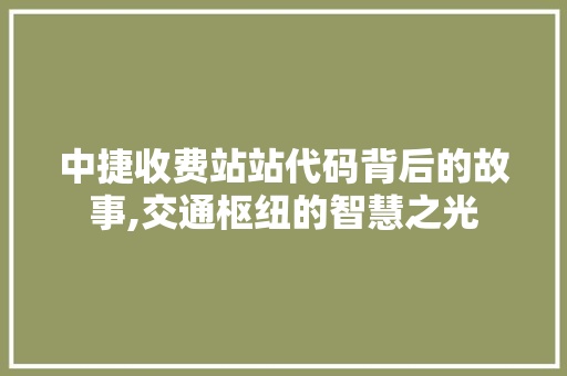 中捷收费站站代码背后的故事,交通枢纽的智慧之光