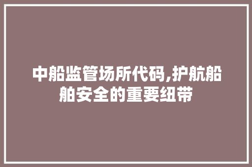 中船监管场所代码,护航船舶安全的重要纽带