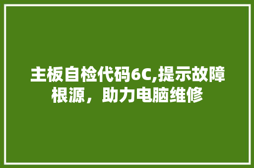 主板自检代码6C,提示故障根源，助力电脑维修