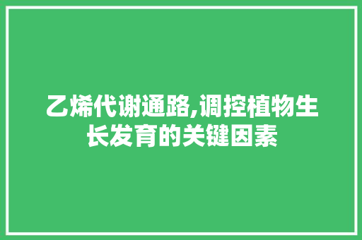 乙烯代谢通路,调控植物生长发育的关键因素