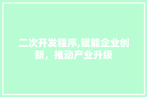 二次开发程序,赋能企业创新，推动产业升级