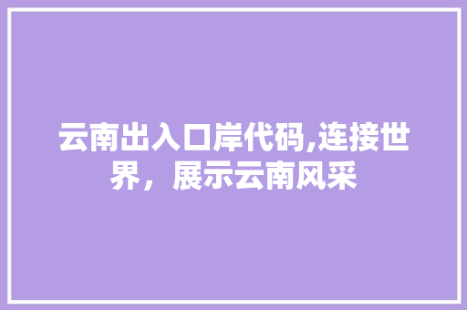 云南出入口岸代码,连接世界，展示云南风采