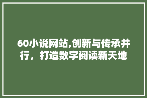 60小说网站,创新与传承并行，打造数字阅读新天地