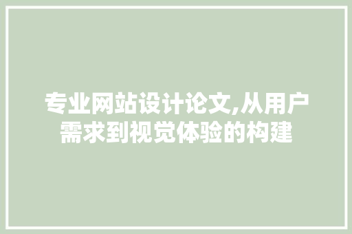 专业网站设计论文,从用户需求到视觉体验的构建