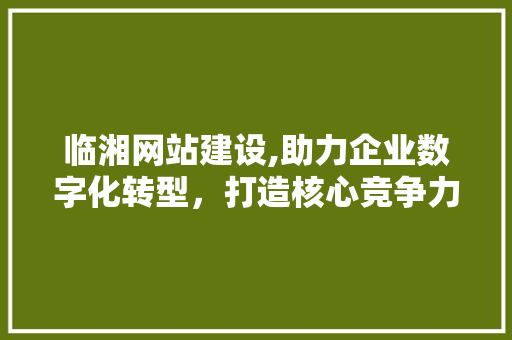 临湘网站建设,助力企业数字化转型，打造核心竞争力 临湘网站建设,助力企业数字化转型，打造核心竞争力 Web前端