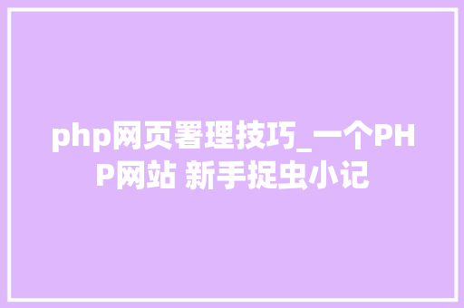 php网页署理技巧_一个PHP网站 新手捉虫小记