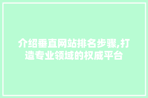 介绍垂直网站排名步骤,打造专业领域的权威平台