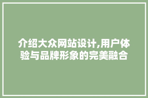 介绍大众网站设计,用户体验与品牌形象的完美融合