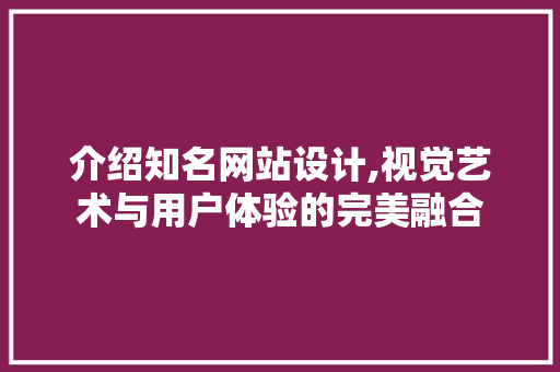介绍知名网站设计,视觉艺术与用户体验的完美融合