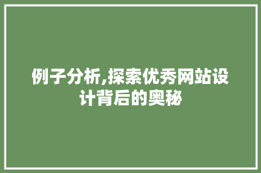例子分析,探索优秀网站设计背后的奥秘
