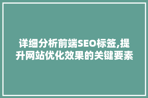 详细分析前端SEO标签,提升网站优化效果的关键要素