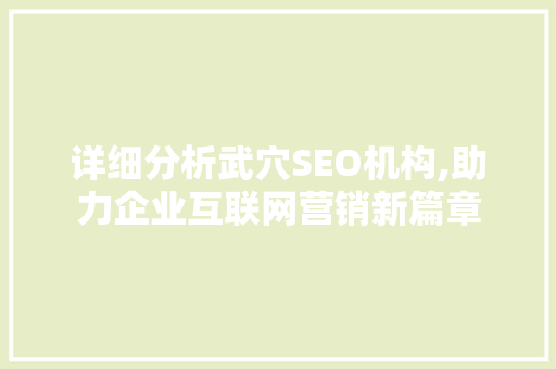 详细分析武穴SEO机构,助力企业互联网营销新篇章