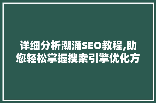 详细分析潮涌SEO教程,助您轻松掌握搜索引擎优化方法