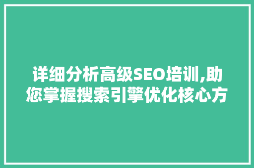 详细分析高级SEO培训,助您掌握搜索引擎优化核心方法