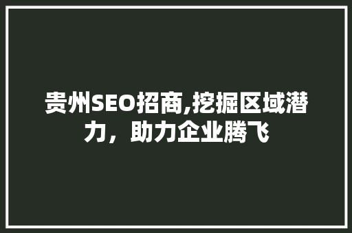 贵州SEO招商,挖掘区域潜力，助力企业腾飞