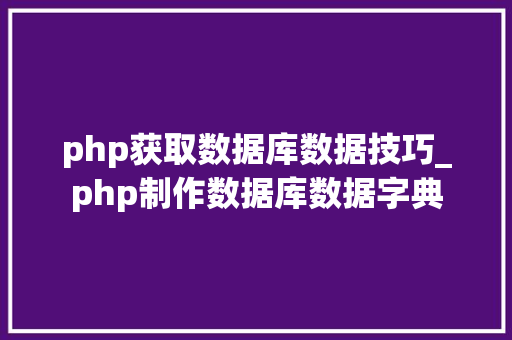 php获取数据库数据技巧_php制作数据库数据字典