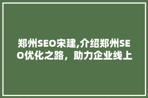 郑州SEO宋建,介绍郑州SEO优化之路，助力企业线上腾飞