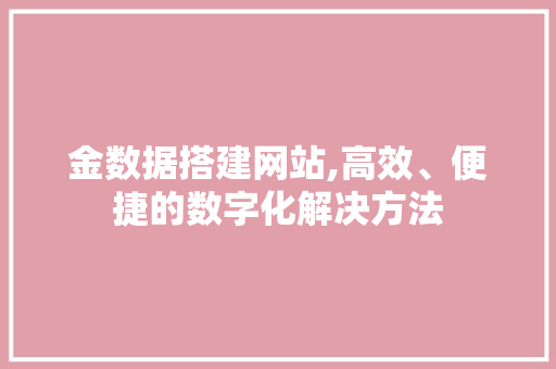 金数据搭建网站,高效、便捷的数字化解决方法