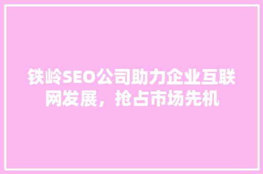 铁岭SEO公司助力企业互联网发展，抢占市场先机