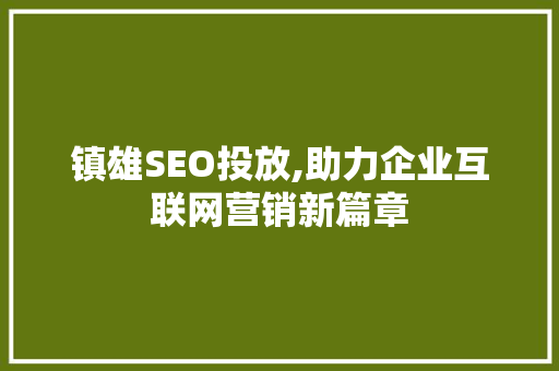镇雄SEO投放,助力企业互联网营销新篇章