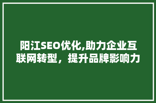 阳江SEO优化,助力企业互联网转型，提升品牌影响力