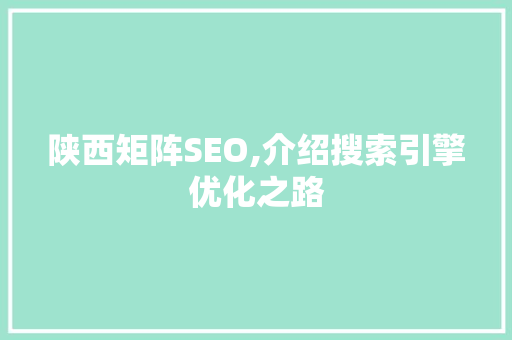 陕西矩阵SEO,介绍搜索引擎优化之路