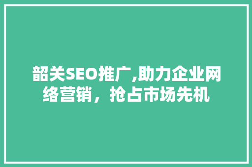 韶关SEO推广,助力企业网络营销，抢占市场先机