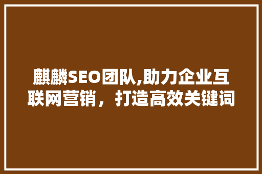 麒麟SEO团队,助力企业互联网营销，打造高效关键词步骤