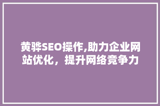 黄骅SEO操作,助力企业网站优化，提升网络竞争力