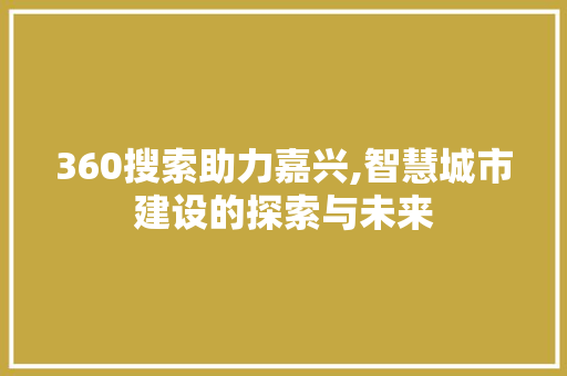 360搜索助力嘉兴,智慧城市建设的探索与未来