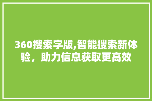 360搜索字版,智能搜索新体验，助力信息获取更高效