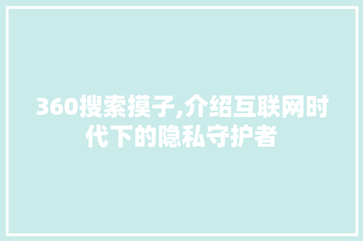 360搜索摸子,介绍互联网时代下的隐私守护者