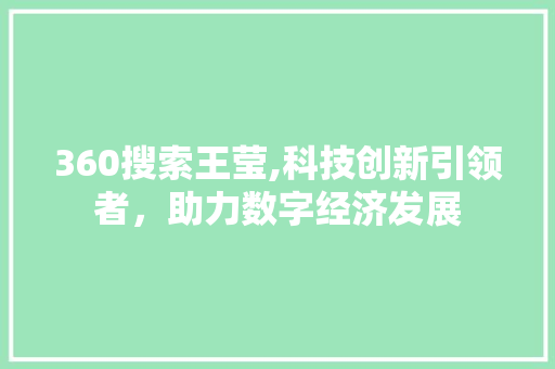 360搜索王莹,科技创新引领者，助力数字经济发展