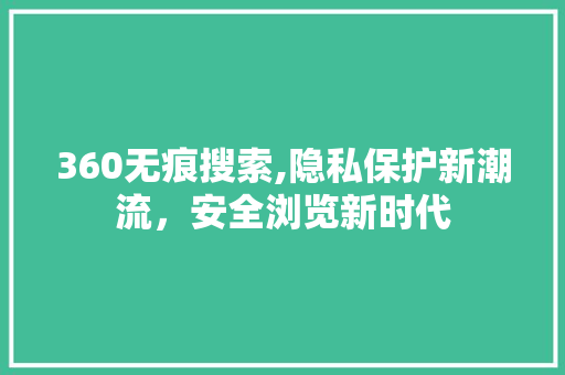 360无痕搜索,隐私保护新潮流，安全浏览新时代