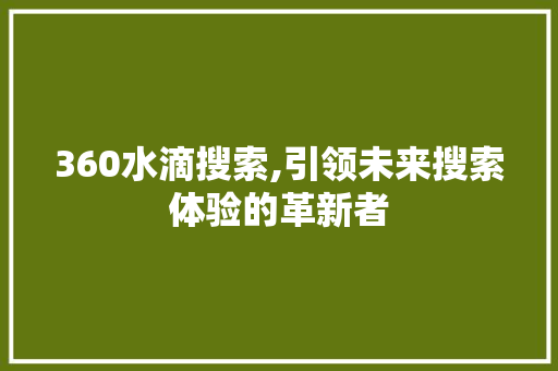 360水滴搜索,引领未来搜索体验的革新者