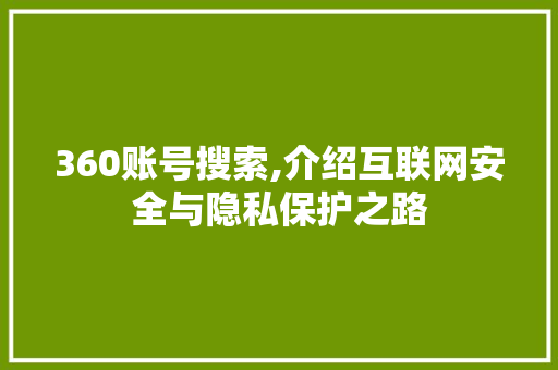 360账号搜索,介绍互联网安全与隐私保护之路