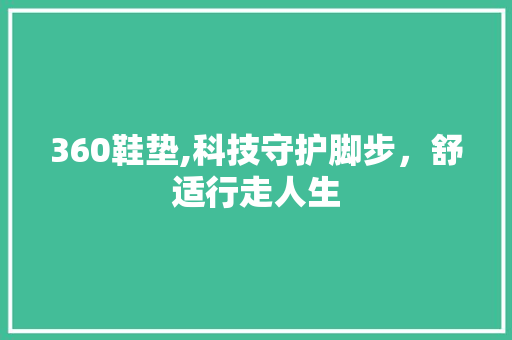 360鞋垫,科技守护脚步，舒适行走人生