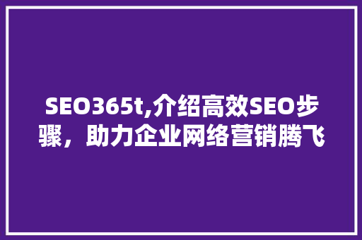 SEO365t,介绍高效SEO步骤，助力企业网络营销腾飞